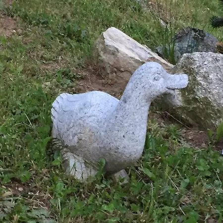 Pontenuovo Appartement