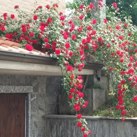 Pontenuovo * Tavernerio